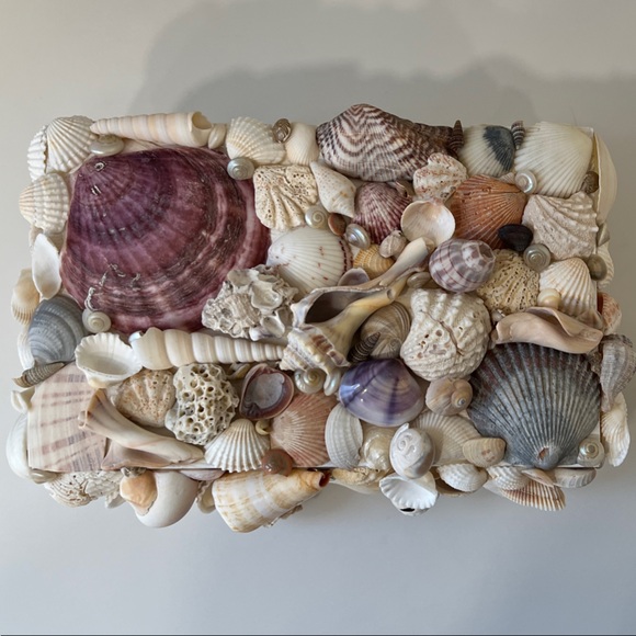 Handmade Seashell Embellished Jewelry/Trinket Box - Picture 7 of 13